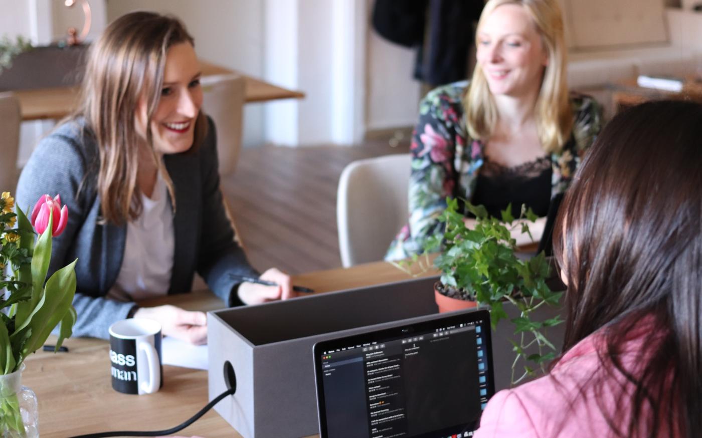Young professional women in a meeting